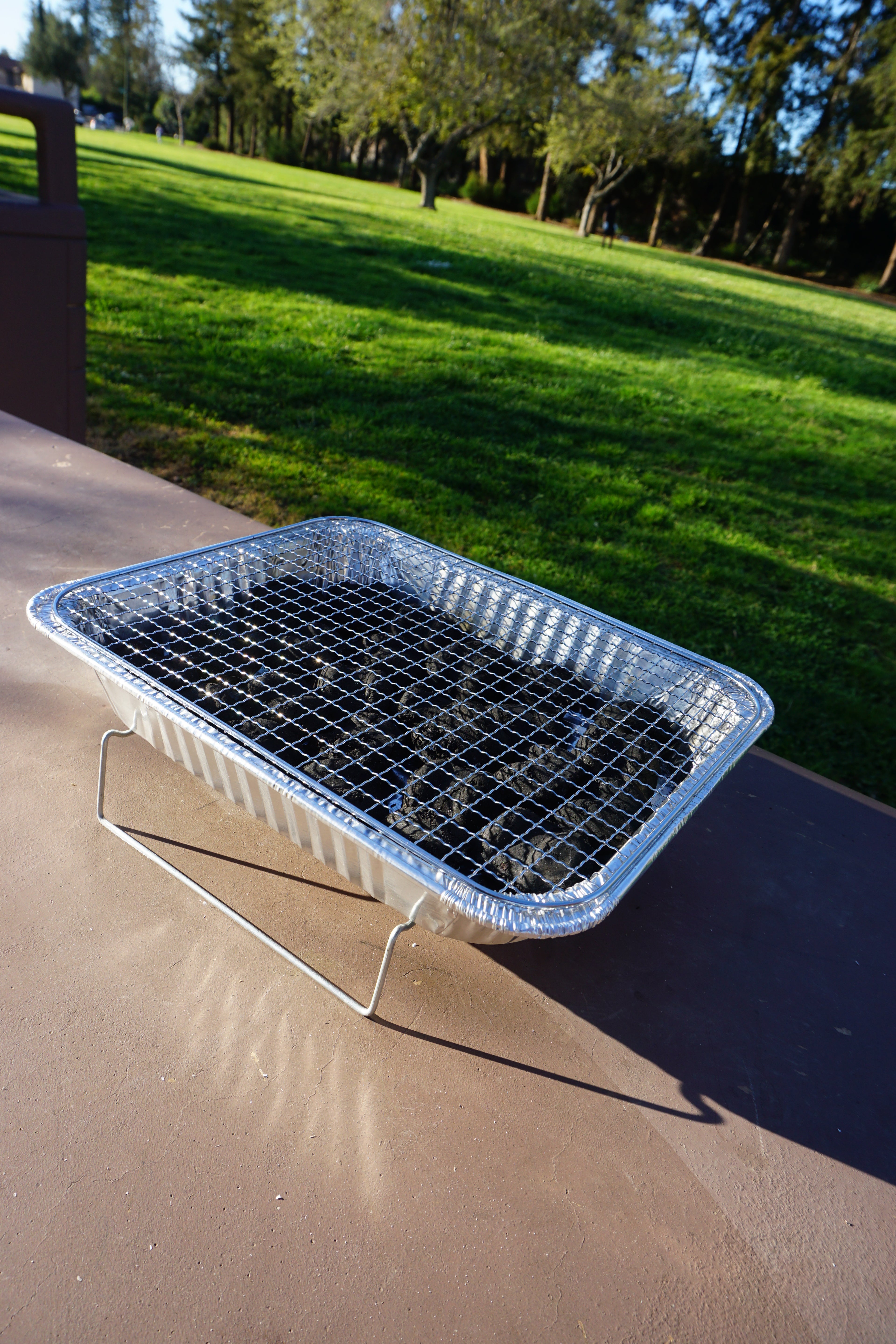Disposable Charcoal Grill - with Stainless Steel Grill Grate and 1.5-lb Instant Charcoal